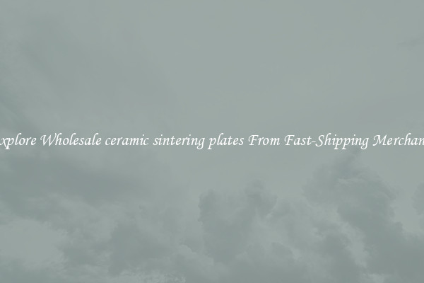 Explore Wholesale ceramic sintering plates From Fast-Shipping Merchants