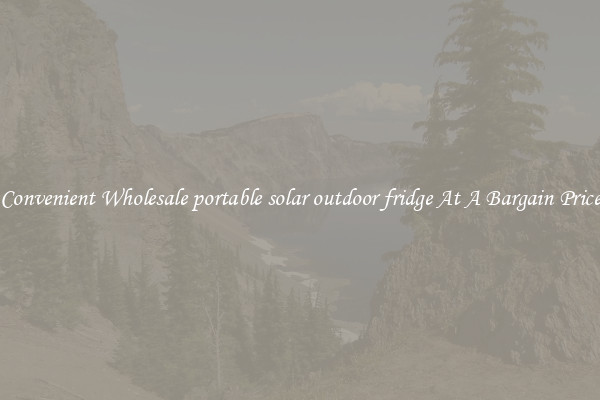 Convenient Wholesale portable solar outdoor fridge At A Bargain Price