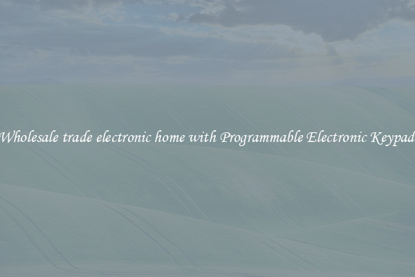 Wholesale trade electronic home with Programmable Electronic Keypad 