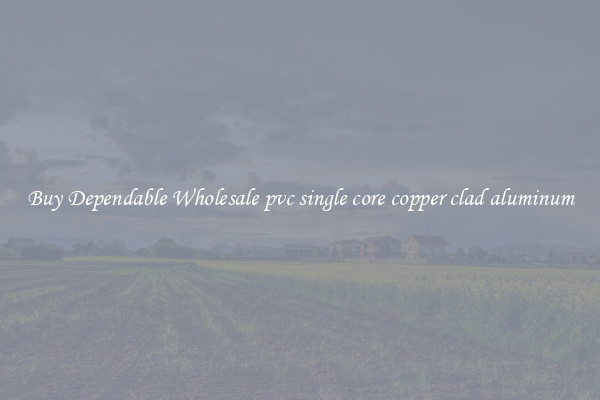 Buy Dependable Wholesale pvc single core copper clad aluminum