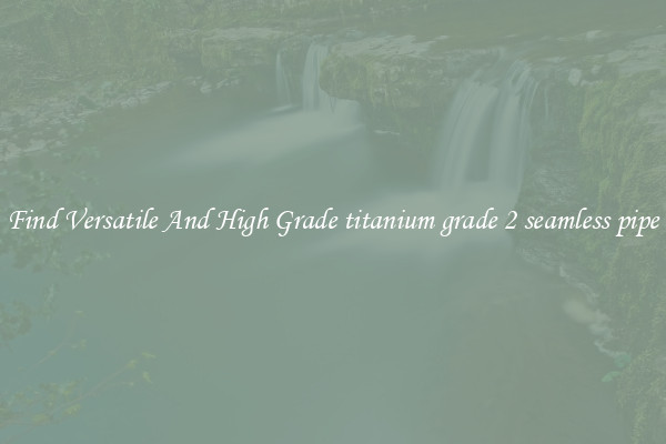 Find Versatile And High Grade titanium grade 2 seamless pipe