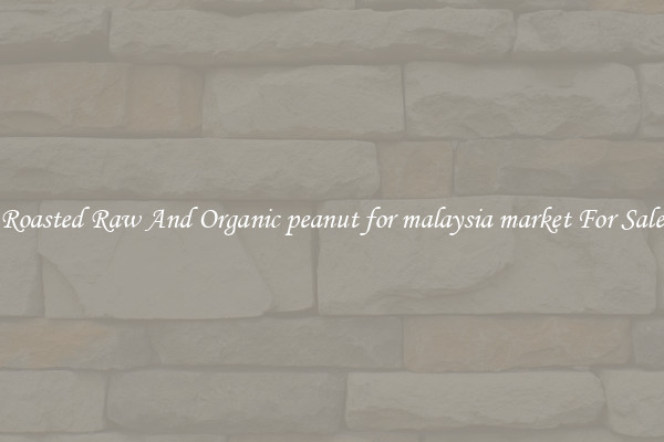 Roasted Raw And Organic peanut for malaysia market For Sale