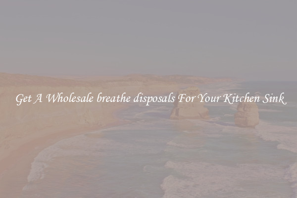 Get A Wholesale breathe disposals For Your Kitchen Sink