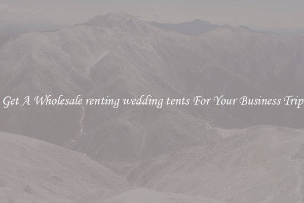 Get A Wholesale renting wedding tents For Your Business Trip