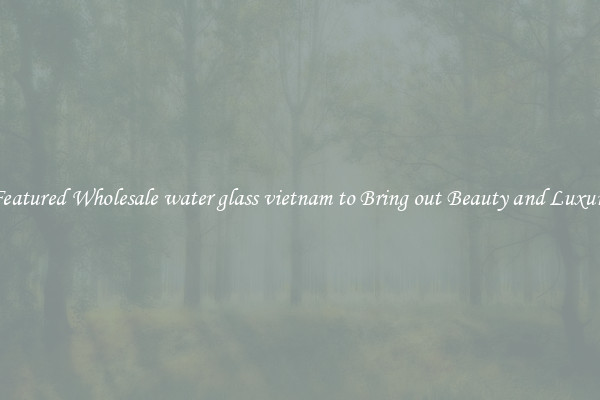Featured Wholesale water glass vietnam to Bring out Beauty and Luxury
