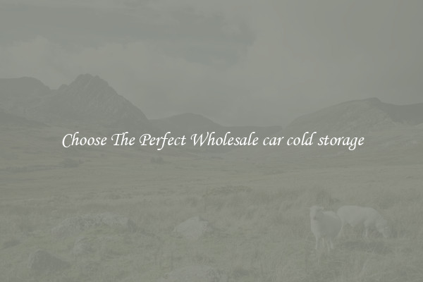 Choose The Perfect Wholesale car cold storage