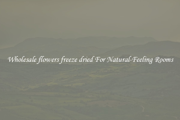 Wholesale flowers freeze dried For Natural-Feeling Rooms