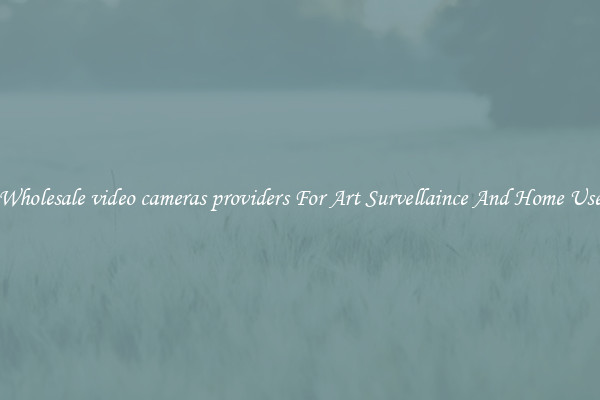 Wholesale video cameras providers For Art Survellaince And Home Use