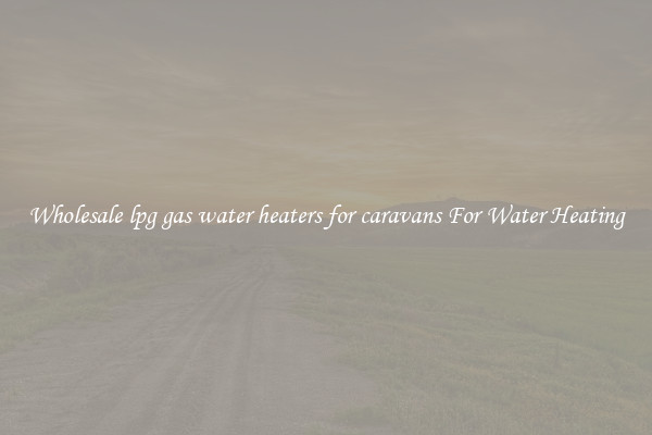 Wholesale lpg gas water heaters for caravans For Water Heating