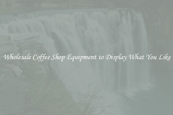 Wholesale Coffee Shop Equipment to Display What You Like