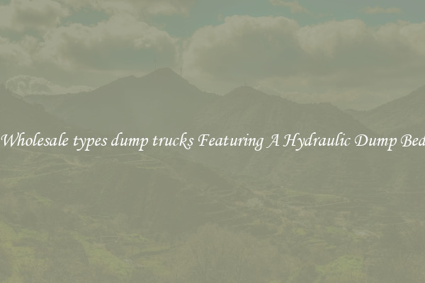 Wholesale types dump trucks Featuring A Hydraulic Dump Bed