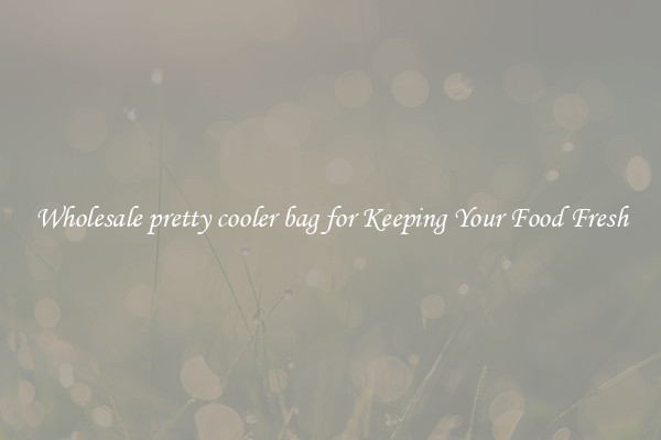 Wholesale pretty cooler bag for Keeping Your Food Fresh