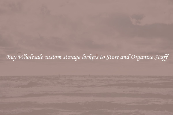 Buy Wholesale custom storage lockers to Store and Organize Stuff